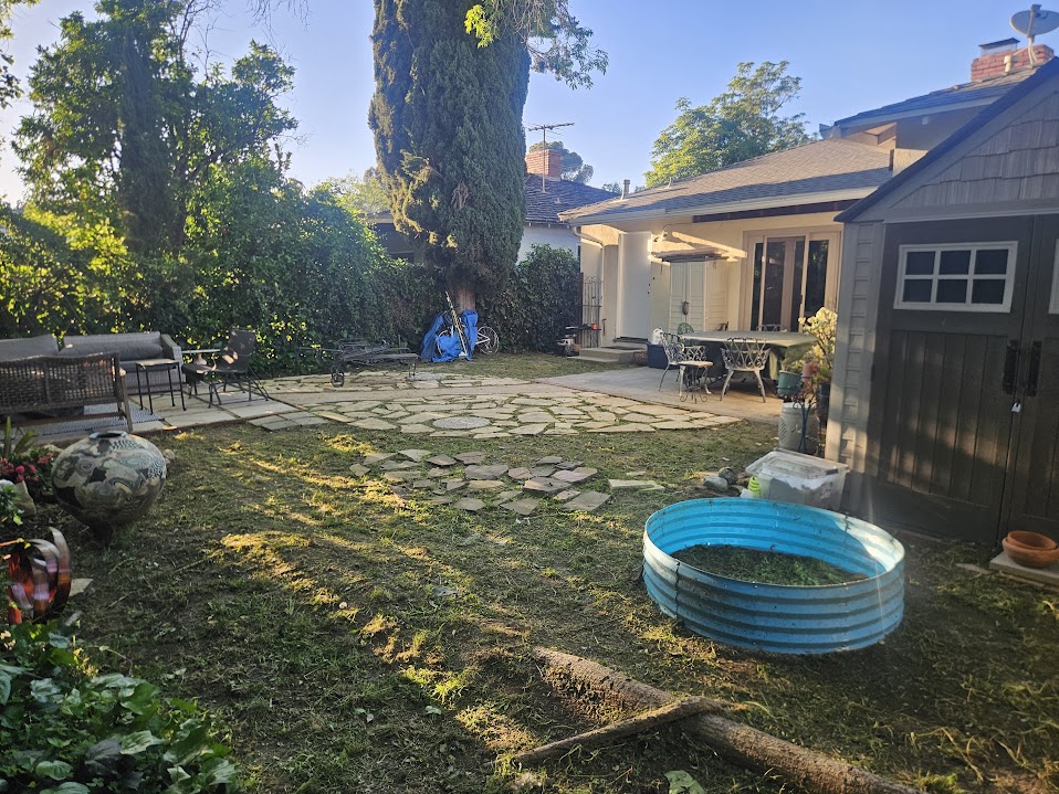 Backyard after cleanup