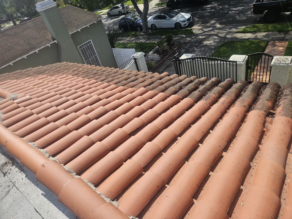 Roof pressure washing