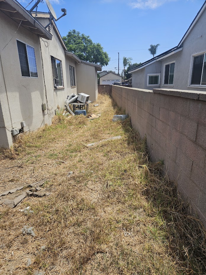 Overgrown side yard